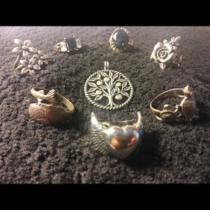 Silver rings, pendant